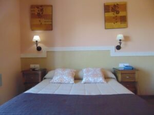 Habitación del hotel, dormitorio con una cama 15