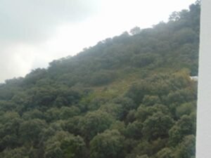Vistas desde la Habitación Málaga 24